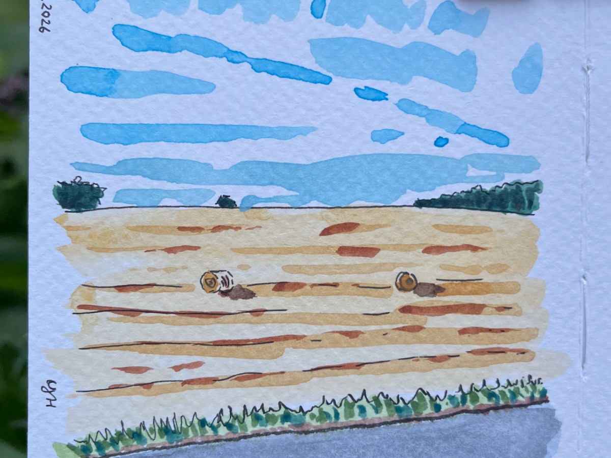 July 2026 Art&nbsp;Recap